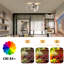 Brylan 1-Light 54cm LED Integrated Flush Mount-1423117183