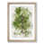 Oak Framed selected