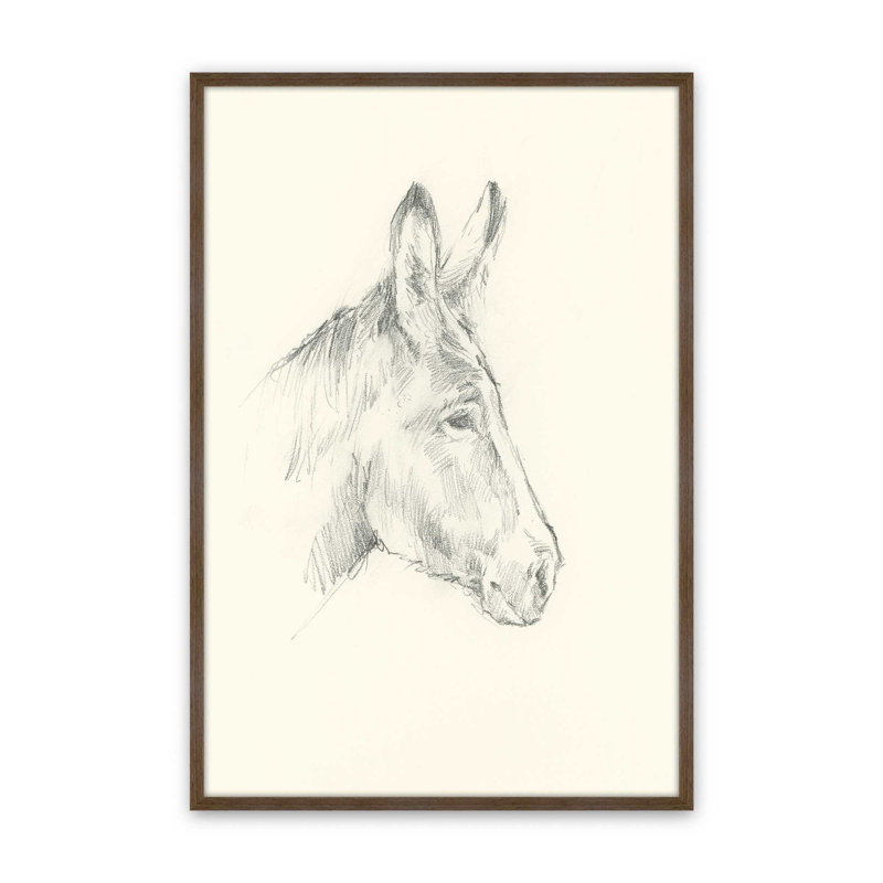 «Donkey Study I» par Ethan Harper, reproduction d'art sur toile, Impression sur cadre ouvert sans papier mat, Brun