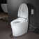 Tankless Smart Bidet Toilet, Chair Height, Booster Pump, Auto/Foot Sensor Flush, Power Outage Flush