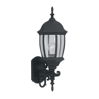 Halle Wall Light