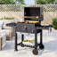 Charcoal Barbecues-1534909323