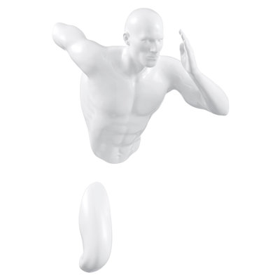 Sculpture murale lustrée