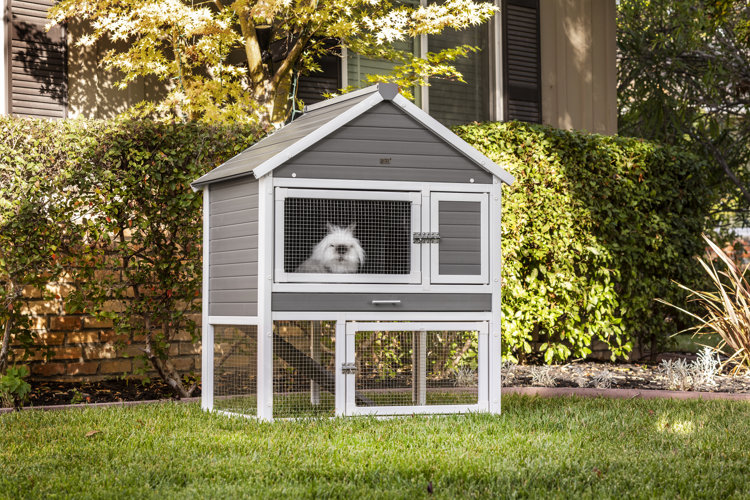 two-story rabbit house with a gray rabbit inside