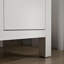 Kresla 48 In. Bathroom Vanity Cabinet With Sink And Quartz Top-323290044