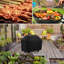 Housse pour barbecue - jusqu'à 65 po-1843537157