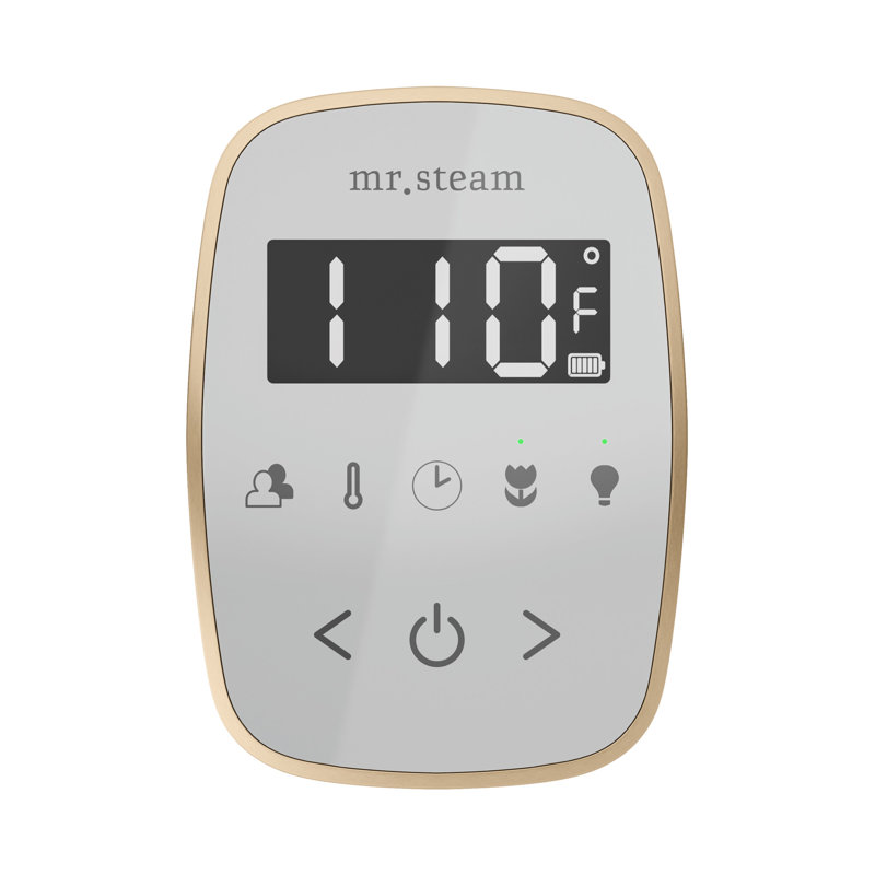 ButlerTouch Steam Shower Control Package with TempoTouch Control and Steamhead, Brushed Bronze