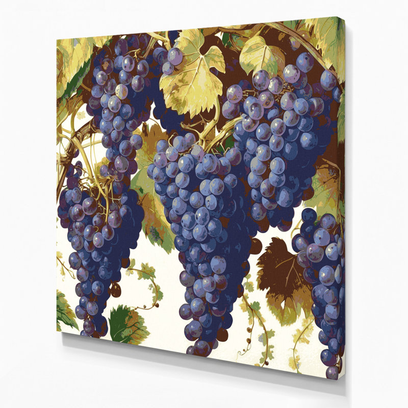 «Fruit Grape Delaware», art mural sur toile mauve, H 12 po x l 12 po