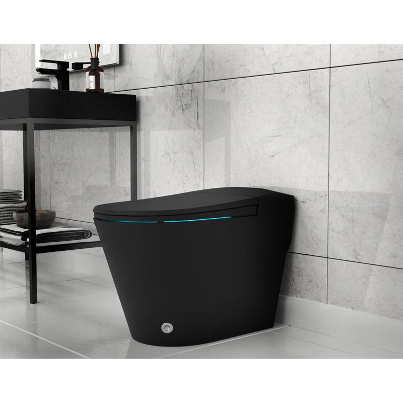 ANZZI Echo 1.28 Gallons GPF Elongated Floor Mounted Bidet Toilet (Seat Included), Matte Black