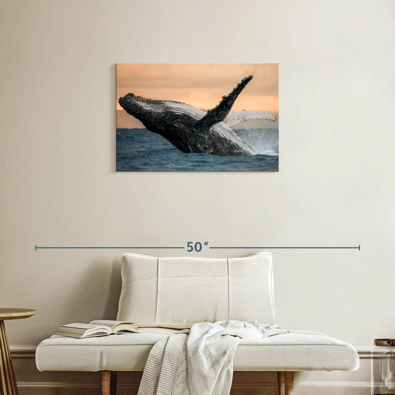 Brampt Humpback Whale Toss, 20" H x 30" W