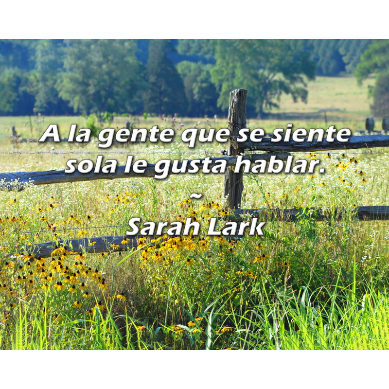 sur bois