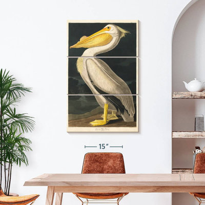 Ensemble de 3 pièces sur toile American American Pelican