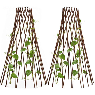 Ensemble de 2 treillis tipi rond en saule naturel - cage de soutien extensible pour plantes et fleurs 4 pi, tour de jardin en bois rustique pour haricots, pois, concombres, vignes et plantes en pot