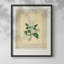 Impression florale rétro sur papier-956840453-956840458