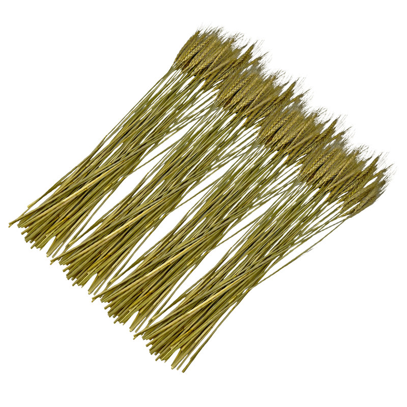 Bouquet de blé séché préservé Madaket, Naturel