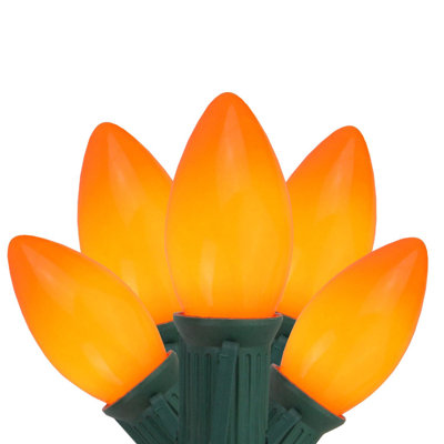 Ensemble de 25 lumières de Noël C9 25 fils vert