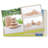 Wood Stackers Learning Tools