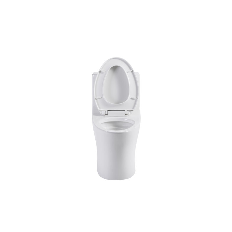 Tornado Flush One-Piece Toilet, Elongated, Dual Flush, Siphonic S-Trap 12", Soft Closing Seat, ADA Height 17", Glossy White