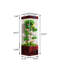 Aquarium 16,54 po-2104522078-2104522074