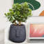 IDEALIST Textured Concrete Effect Oval Face Planter, Indoor Head Plant Pot for Indoor Plants-1163172225-1163172224