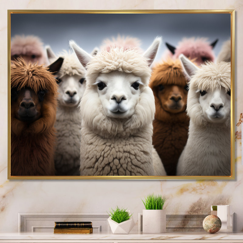 Alpacas Graceful Fibers - Imprimé, H 12 po x l 20 po x P 1 po, Cadre flottant doré