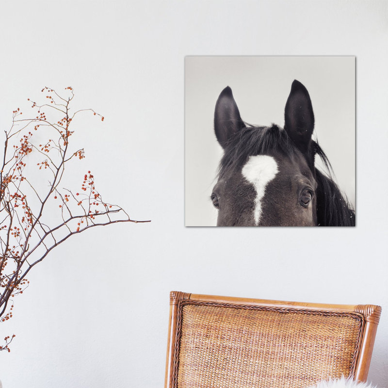 « all earss », reproduction de photo sur toile tendue, H 12 po x l 12 po x P 1,5 po, Pas de tapis, Toile tendue