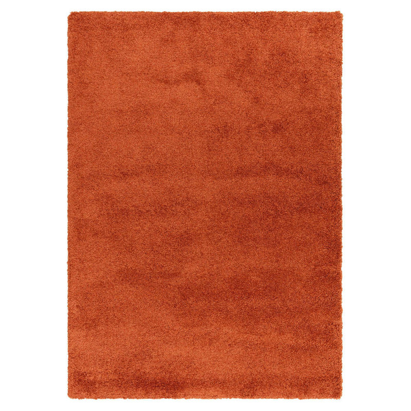 Taiwo Shaggy Orange Area Rug, Rectangle 160 x 230 cm