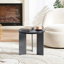 Table basse ronde en bois de chêne noir et métal - Décoration pratique en ajout chic