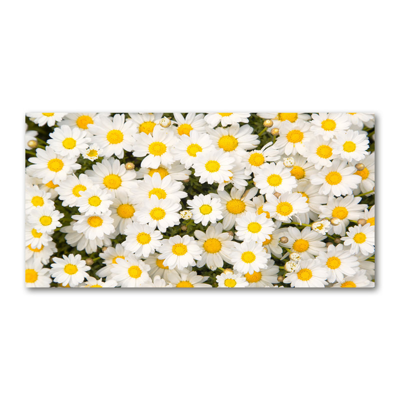 Lucias 50cm W x 100cm L Glass Peel and Stick Panel