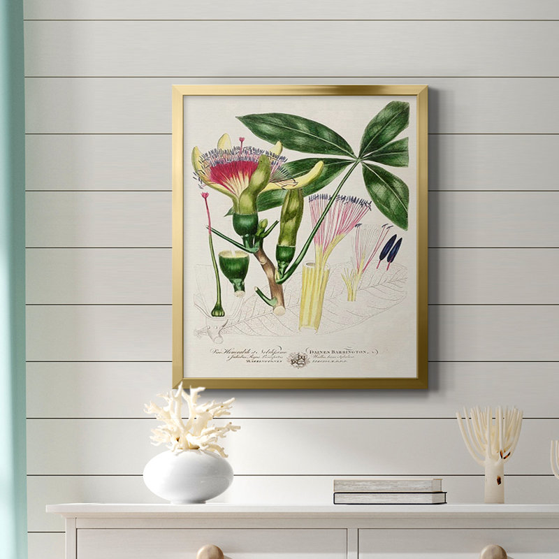 Toile encadrée de qualité supérieure Imperial Tropical Botanical II - prête à être accrochée, Or, H 24 po x l 20 po