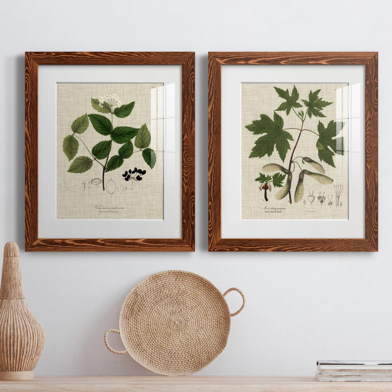 Lin et feuilles I - ensemble de 2 reproductions d'art sur papier encadré, H 20 po x l 17 po x P 1 po