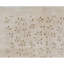 Hand-Knotted High-Quality Beige Area Rug