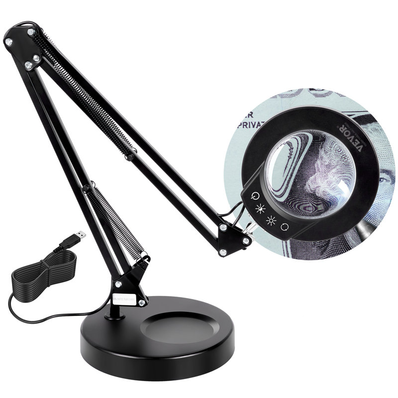 Dastina Adjustable Novelty Lamp