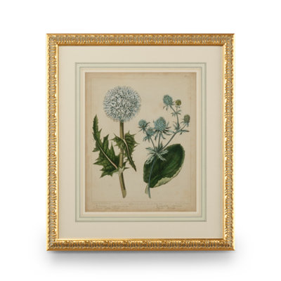 Cottage Florals III - peinture encadrée