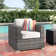 Melanie Fully Assembled Patio Chair with Cushions