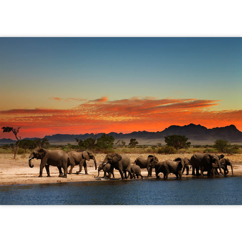 Grand papier peint auto-adhésif Herd of Elephants in African Savanna at Sunset, L 66 po x l 96 po