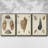 " Antique Knorr Shells V " 3 Piece Art Oil Set-97759694-97759699