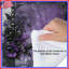 Édredon floral, literie, art gothique-122576168-123098261