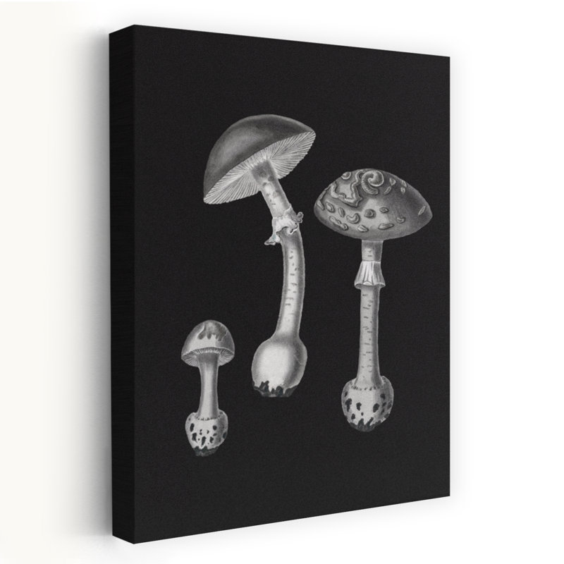 Amanita Muscaria, 36" H x 24" W