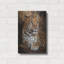 «Leopard Posing» par Momart, art mural en métal, 12 po x 16 po