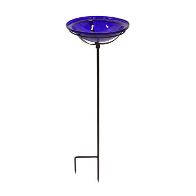 Birdbath
