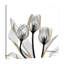 Reproduction d’art sur toile dorée ornée de tulipes 5 par Albert Koetsier-354639517-323497425