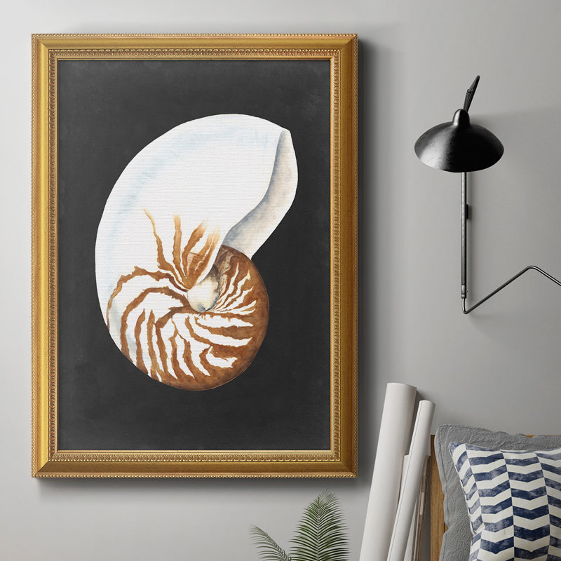 Graphic Nautilus " Graphic Nautilus ", 20" H x 16" W x 2.5" D