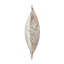 Wiley Square Pillow Cover & Insert