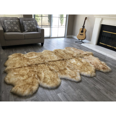 Tapis brun à poils longs Atterberry