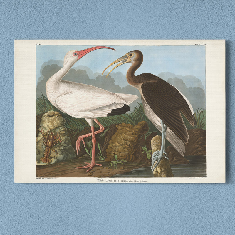 Impression sur toile tendue « pl 222 White », H 12 po x l 8 po x P 1 po
