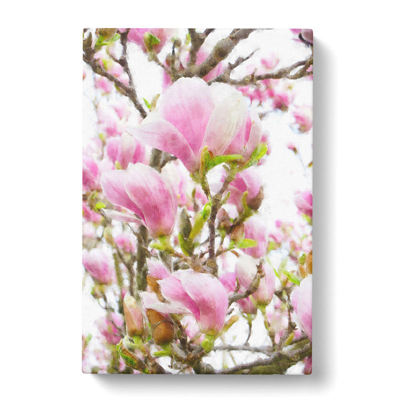 Pink Magnolia Blossom Flowers - Wrapped Canvas, 60cm H x 40cm W x 3cm D