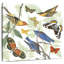Brampt Natures Flight I