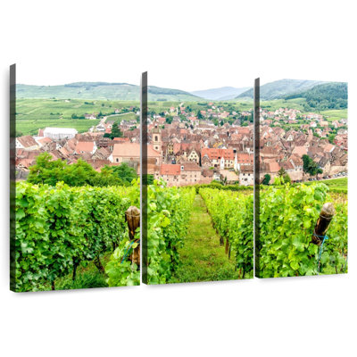 Alsace Village Vineyard