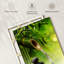 Impression sur toile Bamboo Water Flow-577411076